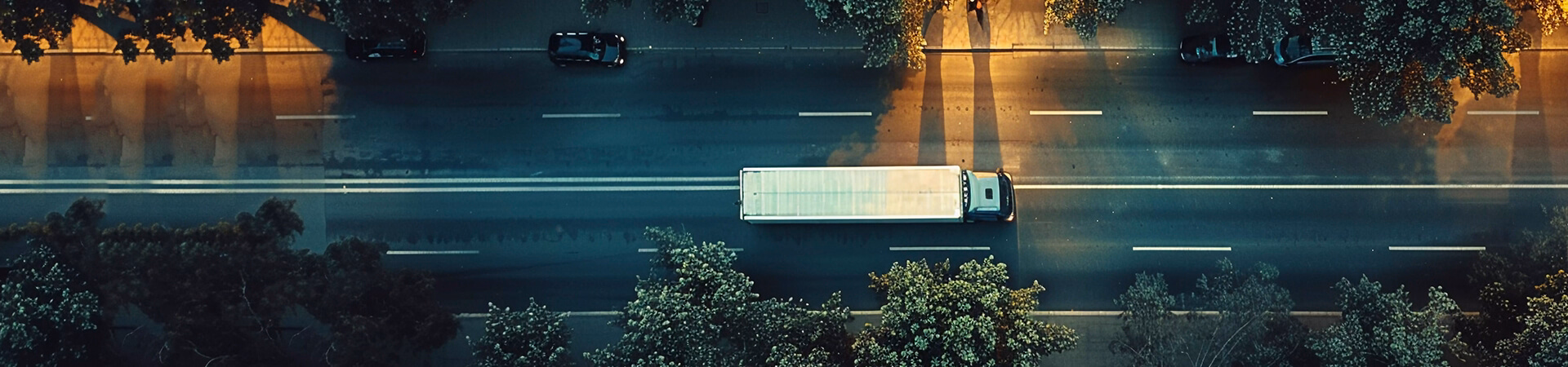 Global Standards, Local Expertise Image